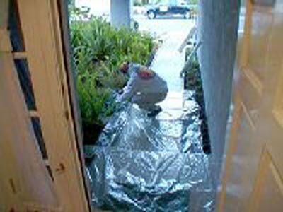 tampabay-floor-sheeting